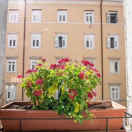 Apartment White Tower